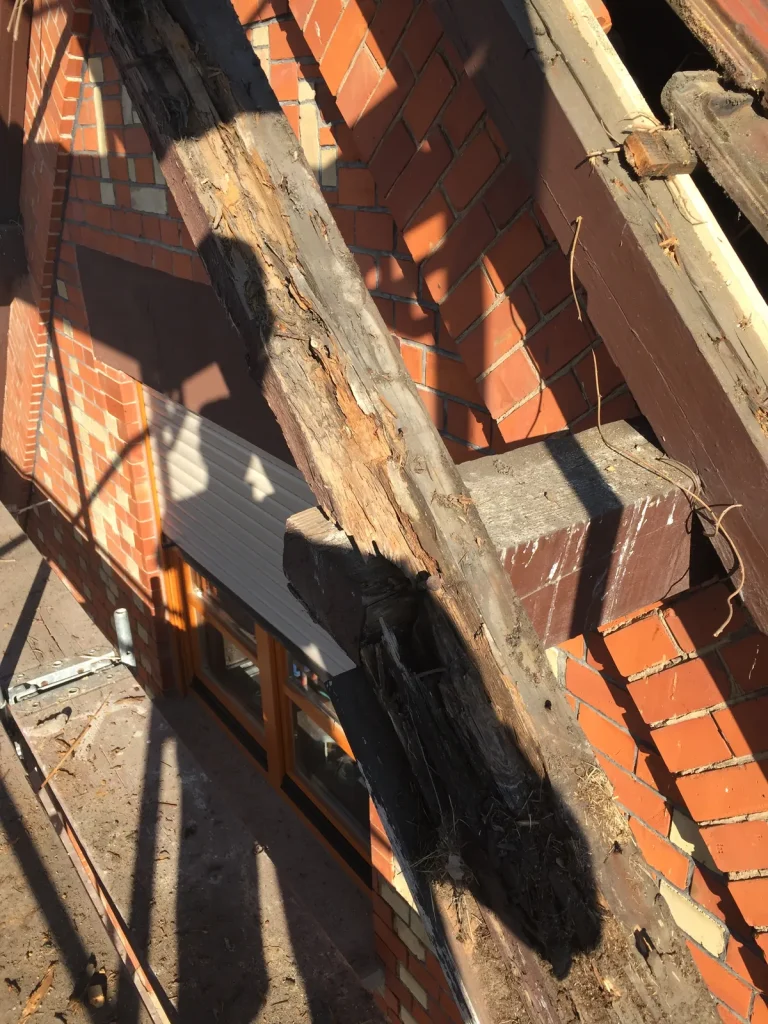 Ortgangsanierung und Verblendung, Foto 4